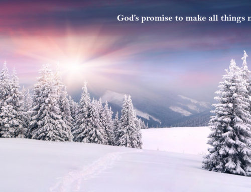 God’s Promise to Make All Things New